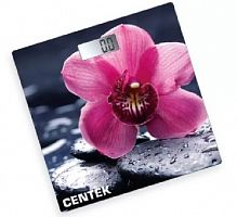 картинка  centek ct-2421 цветы от магазина Tovar-RF.ru