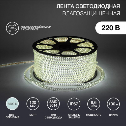 картинка Лента светодиодная NEON-NIGHT (142-801) LED лента 220 В, 6x10.6 мм, IP67, SMD 3014, 120 LED/m, цвет свечения белый, 100 м от магазина Tovar-RF.ru