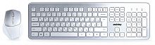 картинка клавиатура smartbuy (sbc-233616ag-sw) 233616ag серебристо-белый от магазина Tovar-RF.ru