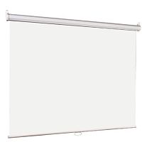 картинка lumien eco picture [lep-100116] настенный экран  229х305см (рабочая область 221х297 см) matte white прямоуголный корпус, возможность потолочн./настенного крепления, уровень в комплекте, 4:3            от магазина Tovar-RF.ru