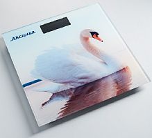 картинка весы аксинья кс-6010 "белый лебедь" от магазина Tovar-RF.ru