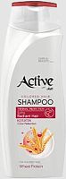 картинка Шампунь ACTIVE Шампунь для окрашенных волос CARE & BEAUTY. С кератином и пшеничным протеином, 350 мл (512102053) ACTIVE Шампунь для окрашенных волос CARE & BEAUTY. С кератином и пшеничным протеином, 350 мл (512102053) от магазина Tovar-RF.ru