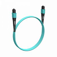 картинка ntss волоконно-оптическая сборка trunk ntss premium 24ов, mtp/upc (female)-mtp/upc (female), полярность b, 50/125 om3, 1м, lszh ntss-fm24pm-503-mtp/u(f)-mtp/u(f)-b-1 от магазина Tovar-RF.ru