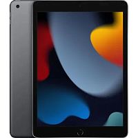 картинка apple ipad 10.2-inch 2021 a2602 a13 bionic 6с ram3gb rom64gb 10.2" ips 2160x1620 ios серый космос 8mpix 12mpix bt wifi 10hr mk2k3ch/a от магазина Tovar-RF.ru