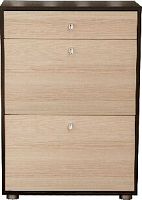 картинка Прихожая БИТЕЛ МИНИ-ЛАЙТ (МЛ-7) Венге/Ясень БИТЕЛ МИНИ-ЛАЙТ (МЛ-7) Венге/Ясень от магазина Tovar-RF.ru