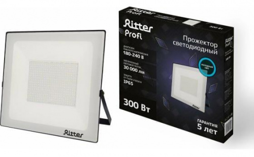 картинка Прожектор светодиодный RITTER (53413 0) PROFI 300 Вт/6500К от магазина Tovar-RF.ru