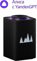 картинка Колонка ЯНДЕКС YNDX-00053K Умная колонка Станция Макс Zigbee, 65Вт, с Алисой, графитовый от магазина Tovar-RF.ru