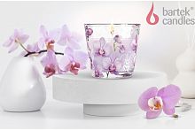 картинка Свеча BARTEK Орхидея Фаленопсис (Orchid Phalaenopsis) 115гр в стакане от магазина Tovar-RF.ru