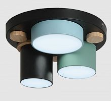 картинка светильник потолочный RITTER 52074 0 Scandia 30 Вт черный/зеленый/голубой от магазина Tovar-RF.ru