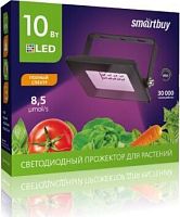 картинка Прожектор для растений SMARTBUY (SBL-FLFITO-30-65K) фитопрожектор SMARTBUY (SBL-FLFITO-30-65K) фитопрожектор от магазина Tovar-RF.ru