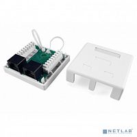 картинка hyperline sb1-2-8p8c-c5e-wh розетка компьютерная rj-45(8p8c), категория 5e, двойная, внешняя, dual idc от магазина Tovar-RF.ru