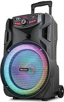 картинка портативная аудиосистема blackton bt pbs2113 черный blackton bt pbs2113 черный от магазина Tovar-RF.ru