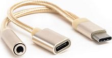 картинка атом (31041) usb type-c-3,5 jack/usb type-c , золотой от магазина Tovar-RF.ru