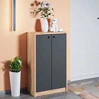 картинка Тумба для обуви МЕБЕЛЬ-КОМПЛЕКС РИНО Тумба для обуви высокая Дуб золотой крафт/Антрацит (1 кор.) МЕБЕЛЬ-КОМПЛЕКС РИНО Тумба для обуви высокая Дуб золотой крафт/Антрацит (1 кор.) от магазина Tovar-RF.ru