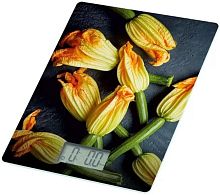 картинка весы кухонные электронные homestar hs-3015в, 7 кг (110057) homestar hs-3015в (110057) от магазина Tovar-RF.ru