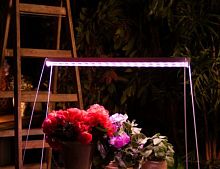 картинка ОСВЕЩЕНИЕ ДЛЯ РАСТЕНИЙ UNIEL (UL-00007514) ULI-P13-35W/SPLE IP40 WHITE от магазина Tovar-RF.ru