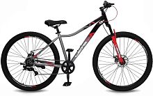 картинка велосипед leto alma серый/красный с29007 00-00051511 leto alma серый/красный с29007 00-00051511от магазина Tovar-RF.ru