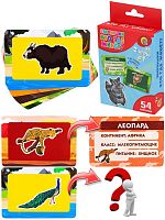 картинка настольные игры рыжий кот развивающие карточки "зверюшки. кто где живёт" ин-9421 от магазина Tovar-RF.ru