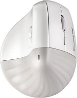 картинка smartbuy sbm30dv бело-серый от магазина Tovar-RF.ru