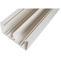 картинка Legrand 638081 Кабель-канал Metra - 100x50 - 2 метра - с крышкой - белый от магазина Tovar-RF.ru