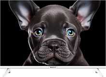 картинка led-телевизор topdevice tdtv24cs08h_we hd белый от магазина Tovar-RF.ru