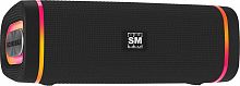 картинка портативная аудиосистема soundmax sm-ps5019b(черный) от магазина Tovar-RF.ru