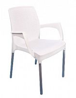 картинка Мебель из пластика АЛЬТЕРНАТИВА М6325 кресло Прованс (белый) от магазина Tovar-RF.ru