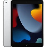 картинка apple ipad 10.2-inch wi-fi + cellular 256gb silver 2021 (гонконг) от магазина Tovar-RF.ru