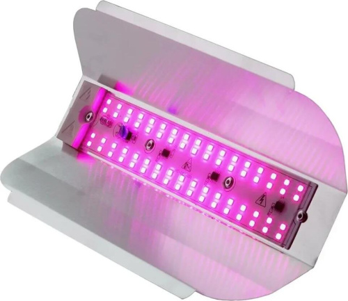 картинка Cветильники GLANZEN RPD-0001-30-GROW GLANZEN RPD-0001-30-GROW от магазина Tovar-RF.ru