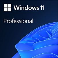 картинка microsoft windows 11 [fqc-10529] professional english 64-bit {1pk dsp oei dvd} от магазина Tovar-RF.ru