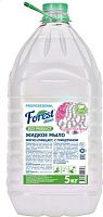 картинка Мыло FOREST CLEAN Жидкое мыло "Сияние жемчуга" 5 кг FOREST CLEAN Жидкое мыло "Сияние жемчуга" 5 кг от магазина Tovar-RF.ru